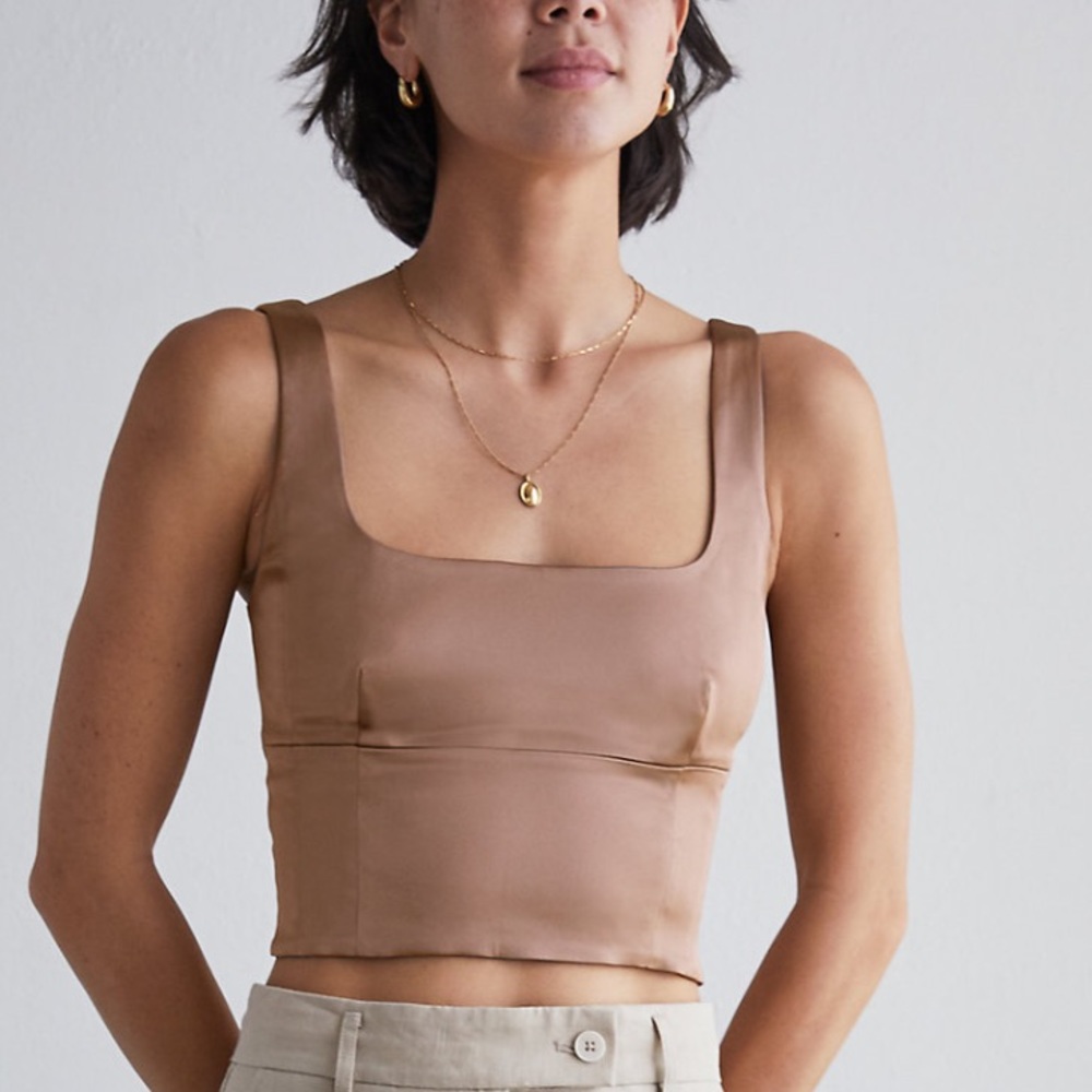 Aritzia Shine Bustier